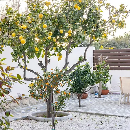 Joan Villa Agios Theodoros