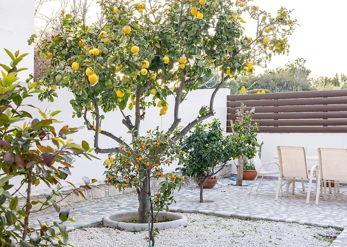 Joan Vila Agios Theodoros